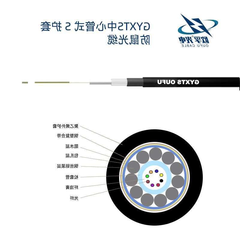 欧孚GYXTS光缆结构特点 中心管式S护套光缆GYXTS防鼠光缆